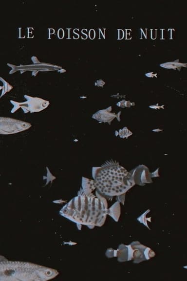 The Night Fish poster