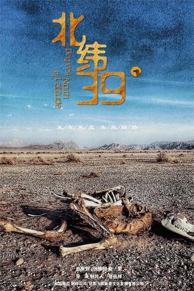 北纬39° poster