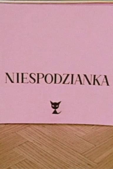 The Surprise poster