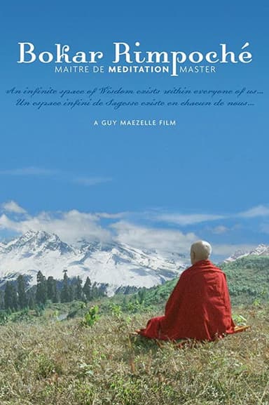 Bokar Rimpoche: Meditation Master poster