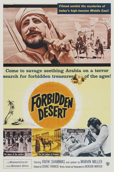 Forbidden Desert poster