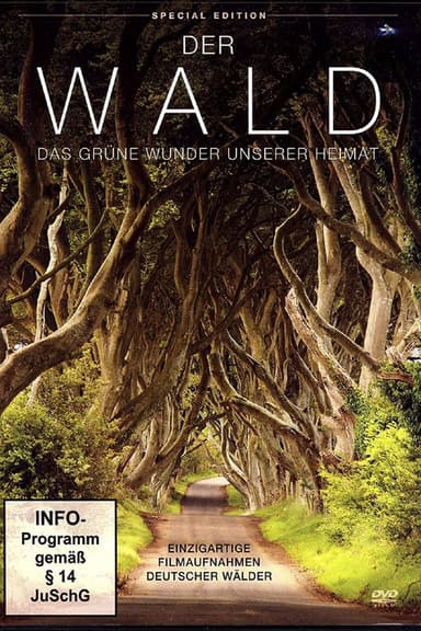 Der Wald - Das gruene Wunder unserer Heimat poster