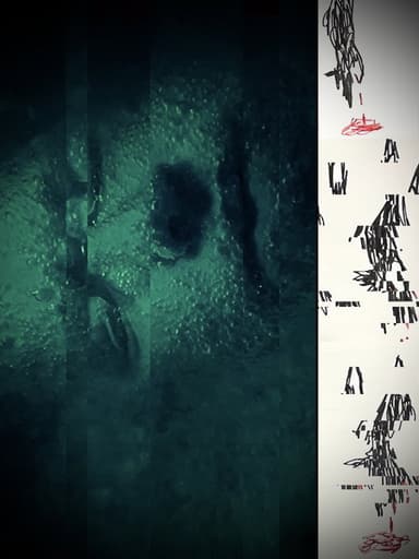 Three Wolves poster