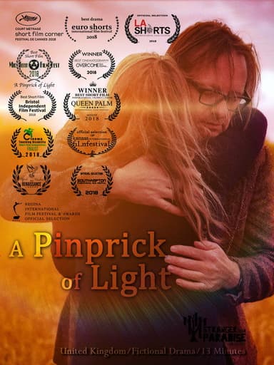 A Pinprick of Light poster