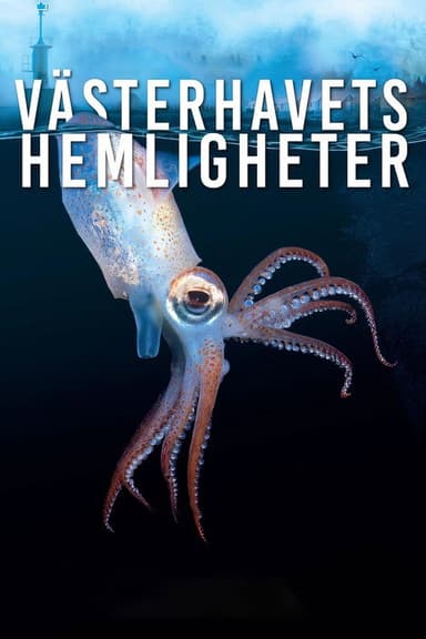 Västerhavets Hemligheter poster