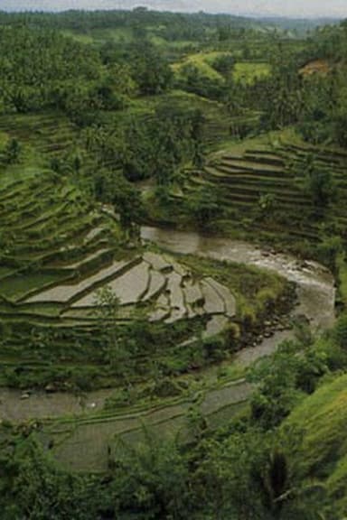 The Three Worlds of Bali poster