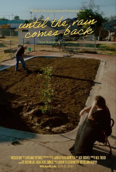 Until the Rain Comes Back poster