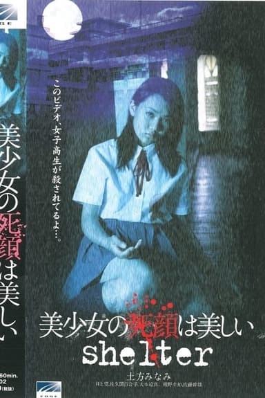 The Beautiful Dead Face of a Pretty Girl: shelter poster