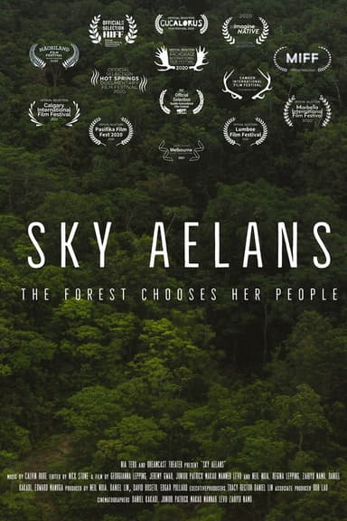 Sky Islands poster