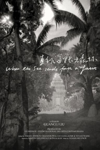 When the Sea Sends Forth a Forest poster