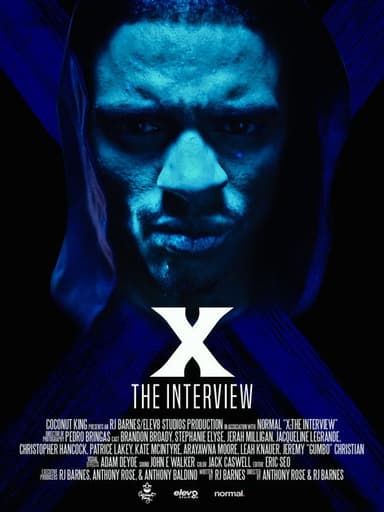 X: The Interview poster