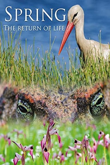 Spring: The Return of Life poster