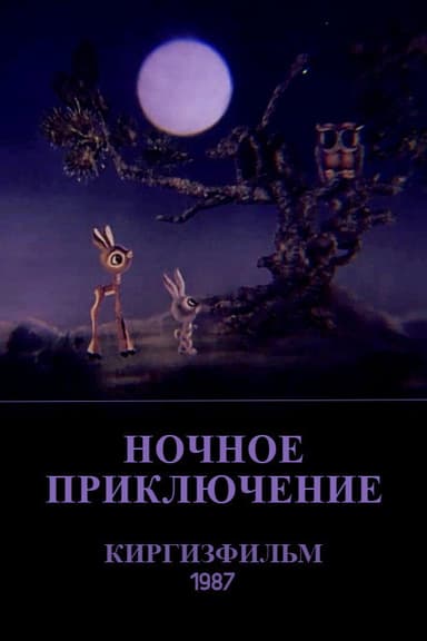 The Nighttime Adventure poster