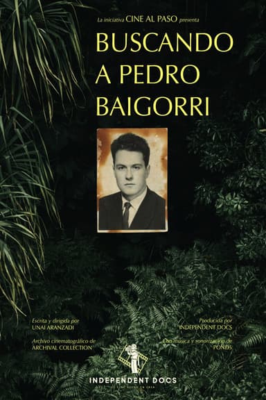 Buscando a Pedro Baigorri poster