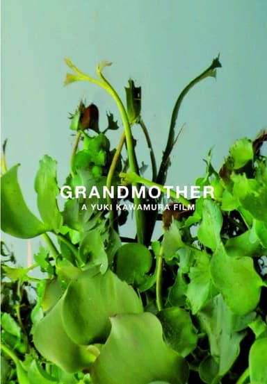 Grandmother poster
