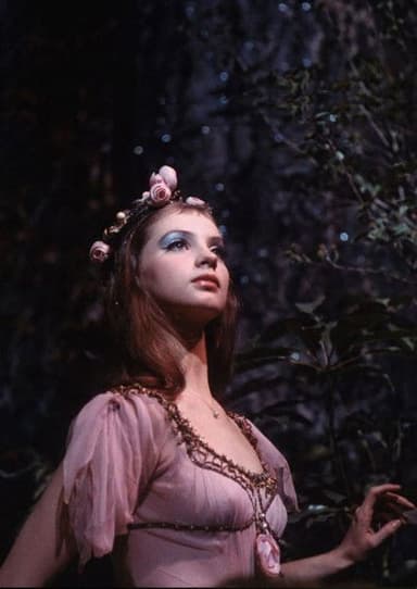 New York City Ballet: A Midsummer Night’s Dream poster