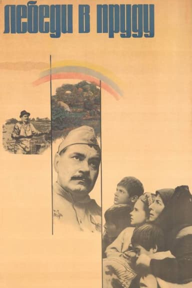 Swans in the Pond poster