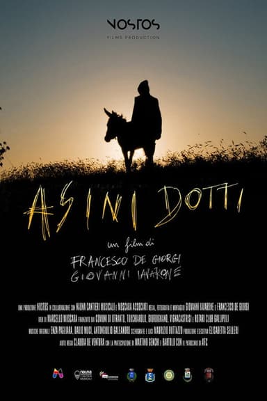 Wise Donkeys poster
