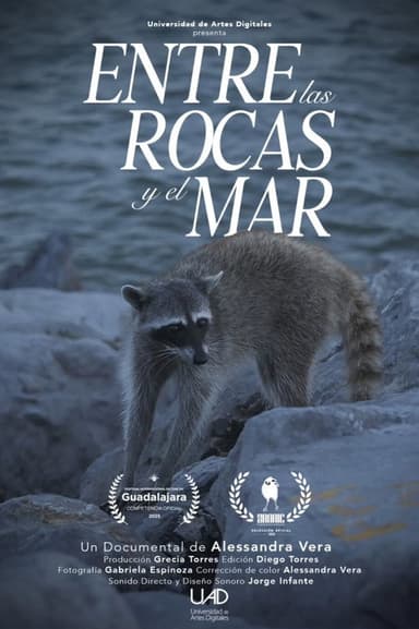 Entre las rocas y el mar poster