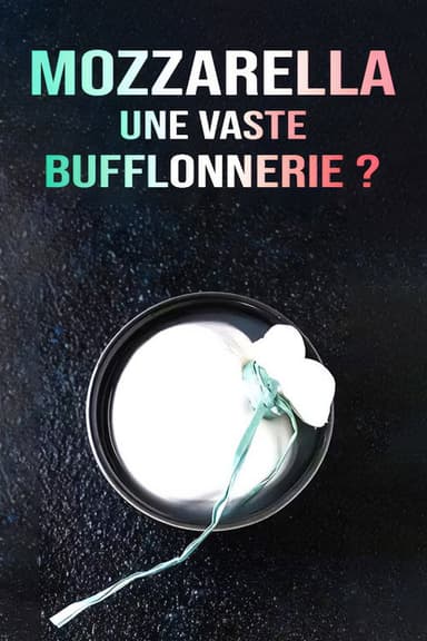 Mozzarella, une vaste bufflonnerie ? poster