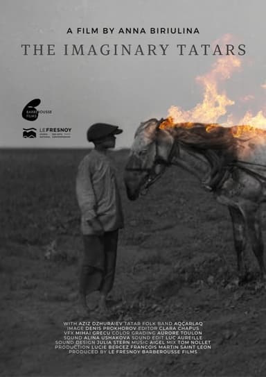 The Imaginary Tatars poster