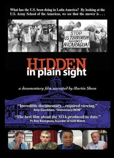 Hidden in Plain Sight poster