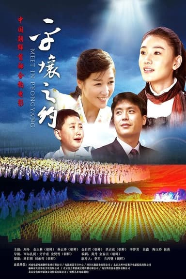 Meet in Pyongyang poster