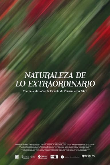 Nature Of The Extraordinary poster