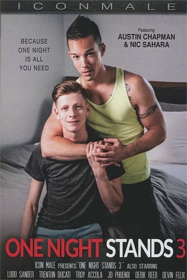 One Night Stands 3 poster