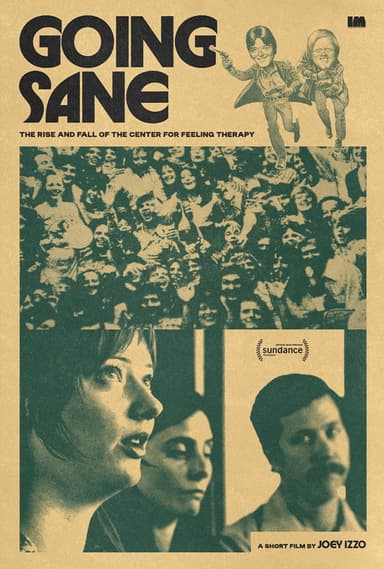 Going Sane: The Rise and Fall of the Center For Feeling Therapy poster