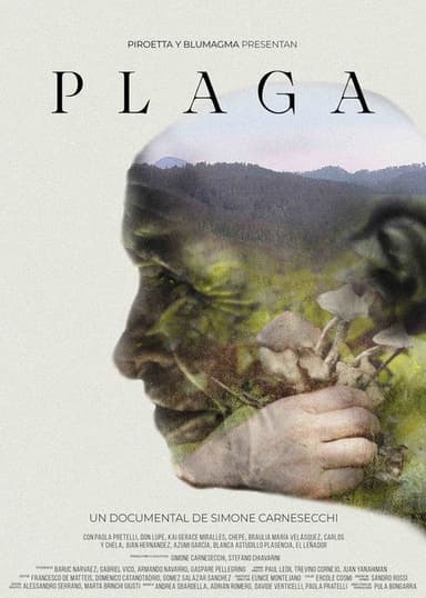 Plaga poster