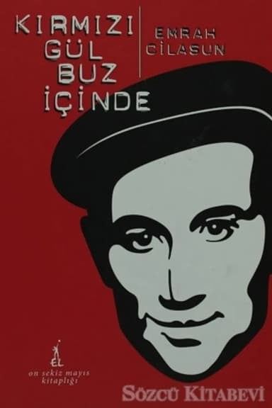 Kırmızı Gül Buz İçinde poster
