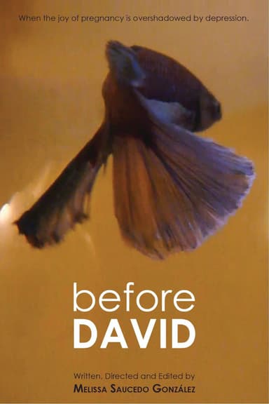 Before David poster