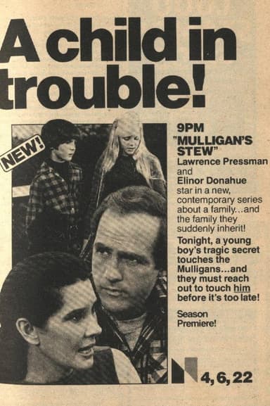 Mulligan's Stew poster