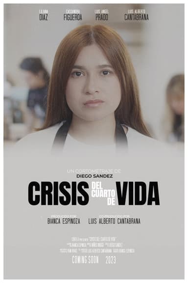 Quarter Life Crisis poster