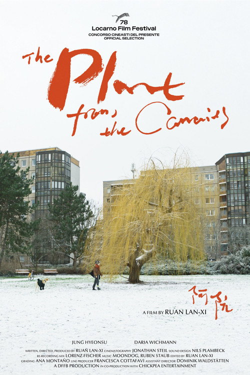 The Plant from the Canaries poster