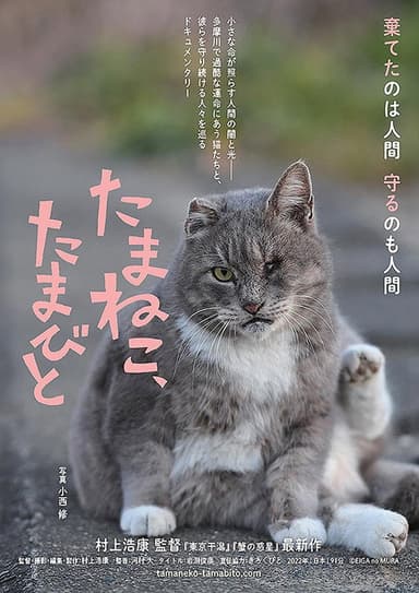 Tamaneko, Tamabito poster
