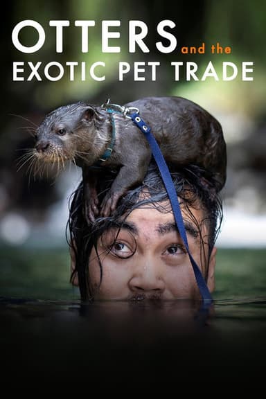 Otters and the Exotic Pet Trade poster