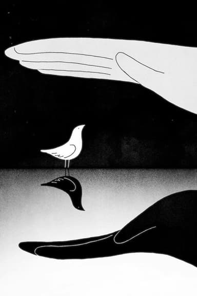 Bird & Shadow poster