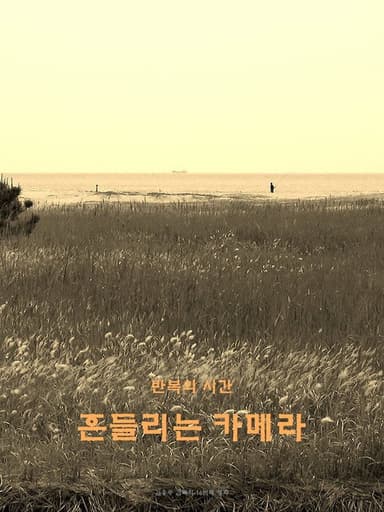 wandering camera poster