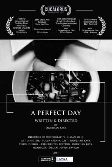 A Perfect Day poster