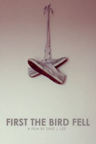 First the Bird Fell poster