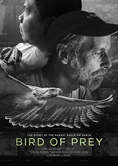 Bird of Prey poster