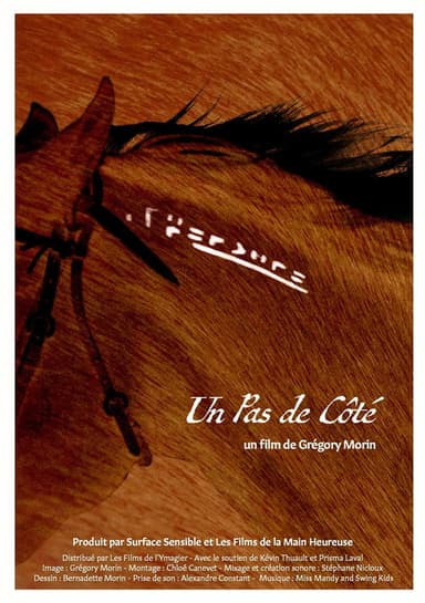 Un Pas De Côté poster