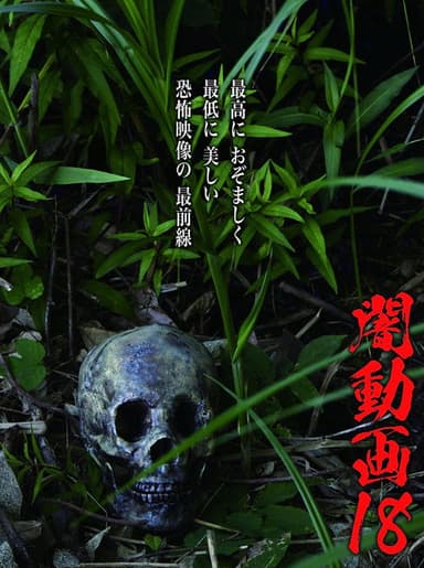 Tokyo Videos of Horror 18 poster