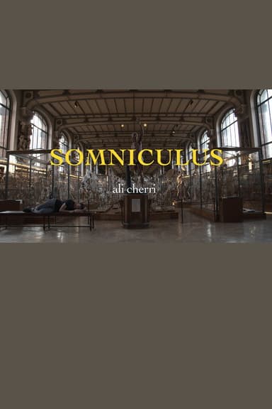 Somniculus poster