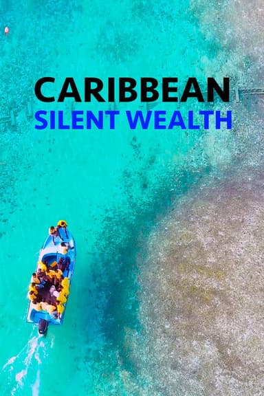Caribbean: Silent Wealth poster