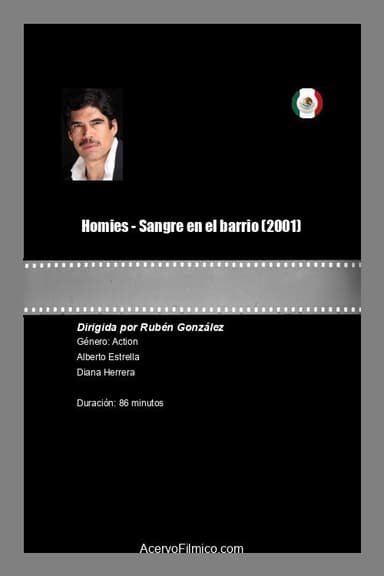 Homies - Sangre en el barrio poster
