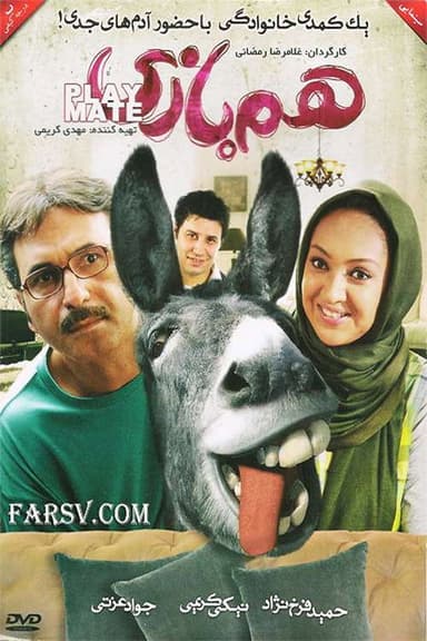 The Playfellow poster