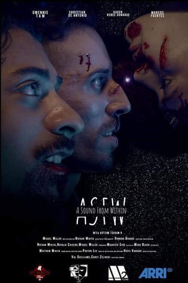 A Sound from Within poster